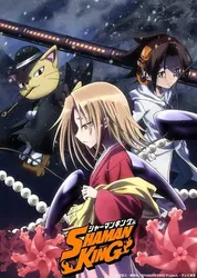 Shaman King: Vua pháp thuật